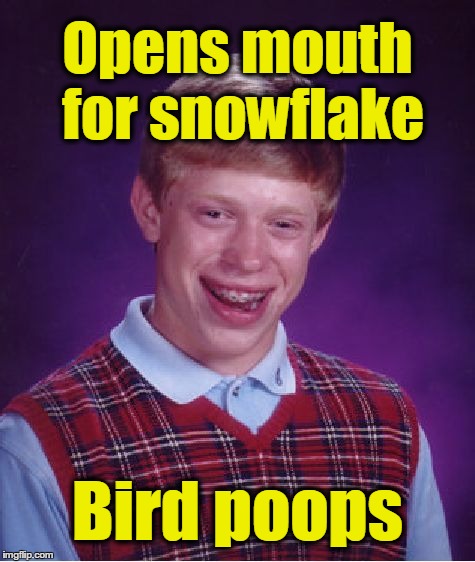 011100000110111101101110011010010110010101110011 | Opens mouth for snowflake Bird poops | image tagged in memes,bad luck brian | made w/ Imgflip meme maker