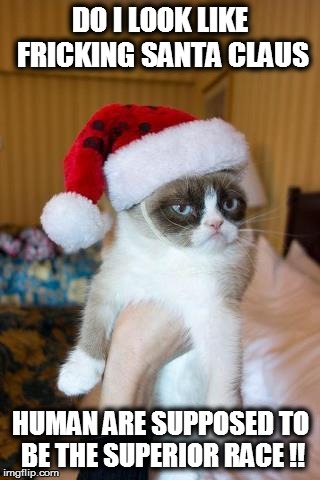 Grumpy Cat Christmas | DO I LOOK LIKE FRICKING SANTA CLAUS HUMAN ARE SUPPOSED TO BE THE SUPERIOR RACE !! | image tagged in memes,grumpy cat christmas,grumpy cat | made w/ Imgflip meme maker