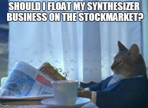 I Should Buy A Boat Cat | SHOULD I FLOAT MY SYNTHESIZER BUSINESS ON THE STOCKMARKET? | image tagged in memes,i should buy a boat cat | made w/ Imgflip meme maker