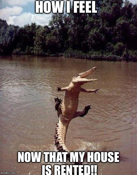 excitedcroc | HOW I FEEL NOW THAT MY HOUSE IS RENTED!! | image tagged in excitedcroc | made w/ Imgflip meme maker