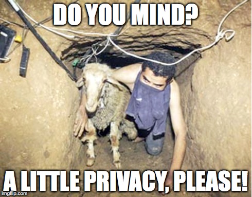 sheep BFF | DO YOU MIND? A LITTLE PRIVACY, PLEASE! | image tagged in sheep,animals,weird,sick,yuck | made w/ Imgflip meme maker