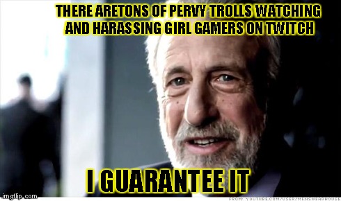 I Guarantee It | THERE ARETONS OF PERVY TROLLS WATCHING AND HARASSING GIRL GAMERS ON TWITCH I GUARANTEE IT | image tagged in memes,i guarantee it | made w/ Imgflip meme maker