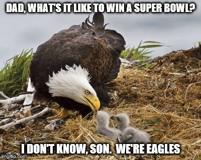 Are you ready for some football? | DAD, WHAT'S IT LIKE TO WIN A SUPER BOWL? I DON'T KNOW, SON.  WE'RE EAGLES | image tagged in philadelphia eagles | made w/ Imgflip meme maker