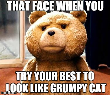 TED | THAT FACE WHEN YOU TRY YOUR BEST TO LOOK LIKE GRUMPY CAT | image tagged in memes,ted | made w/ Imgflip meme maker