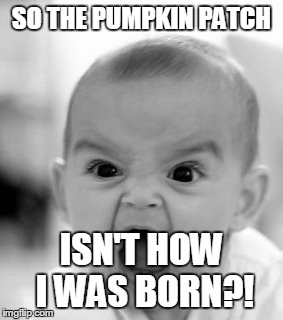 Angry Baby Meme | SO THE PUMPKIN PATCH ISN'T HOW I WAS BORN?! | image tagged in memes,angry baby | made w/ Imgflip meme maker