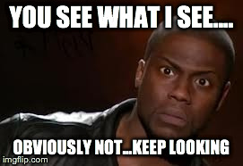 Kevin Hart | YOU SEE WHAT I SEE.... OBVIOUSLY NOT...KEEP LOOKING | image tagged in memes,kevin hart the hell | made w/ Imgflip meme maker
