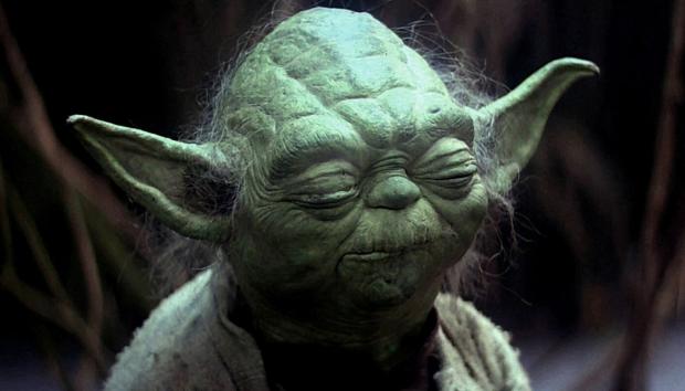 High Quality disappointed yoda Blank Meme Template