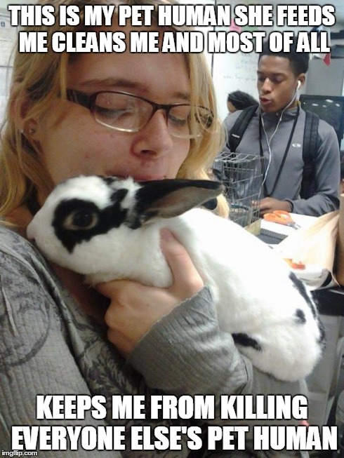 THIS IS MY PET HUMAN SHE FEEDS ME CLEANS ME AND MOST OF ALL KEEPS ME FROM KILLING EVERYONE ELSE'S PET HUMAN | image tagged in ink2 | made w/ Imgflip meme maker
