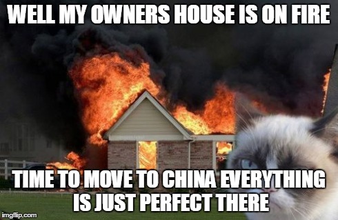 Burn Kitty | WELL MY OWNERS HOUSE IS ON FIRE TIME TO MOVE TO CHINA EVERYTHING IS JUST PERFECT THERE | image tagged in memes,burn kitty | made w/ Imgflip meme maker