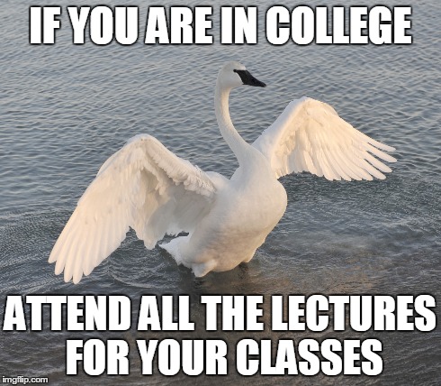 IF YOU ARE IN COLLEGE ATTEND ALL THE LECTURES FOR YOUR CLASSES | made w/ Imgflip meme maker