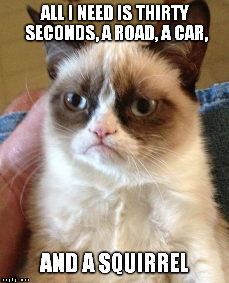 Grumpy Cat Meme | ALL I NEED IS THIRTY SECONDS, A ROAD, A CAR, AND A SQUIRREL | image tagged in memes,grumpy cat | made w/ Imgflip meme maker
