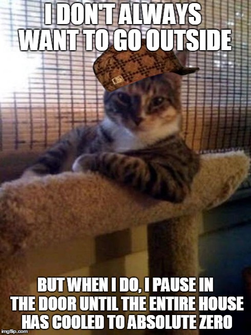 Because cats | I DON'T ALWAYS WANT TO GO OUTSIDE BUT WHEN I DO, I PAUSE IN THE DOOR UNTIL THE ENTIRE HOUSE HAS COOLED TO ABSOLUTE ZERO | image tagged in memes,the most interesting cat in the world,scumbag | made w/ Imgflip meme maker