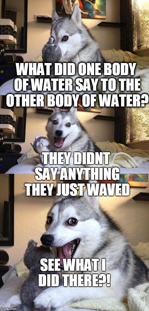 Bad Pun Dog Meme | WHAT DID ONE BODY OF WATER SAY TO THE OTHER BODY OF WATER? THEY DIDNT SAY ANYTHING THEY JUST WAVED SEE WHAT I DID THERE?! | image tagged in memes,bad pun dog | made w/ Imgflip meme maker