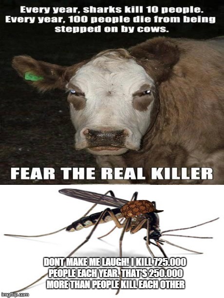 scumbag mosquito | DONT MAKE ME LAUGH! I KILL 725.000 PEOPLE EACH YEAR. THAT'S 250.000 MORE THAN PEOPLE KILL EACH OTHER | image tagged in evil cows,kill,scumbag | made w/ Imgflip meme maker