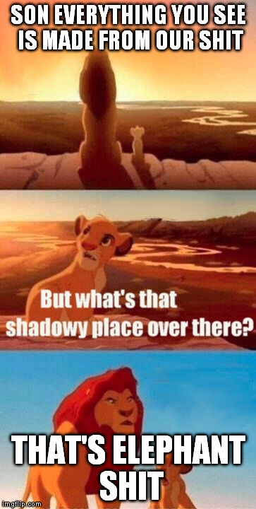 Simba Shadowy Place Meme | SON EVERYTHING YOU SEE IS MADE FROM OUR SHIT THAT'S ELEPHANT SHIT | image tagged in memes,simba shadowy place | made w/ Imgflip meme maker