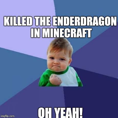 Success Kid Meme | KILLED THE ENDERDRAGON IN MINECRAFT OH YEAH! | image tagged in memes,success kid | made w/ Imgflip meme maker