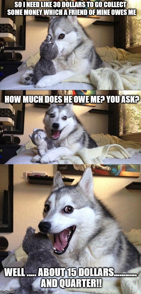 Bad Pun Dog Meme | SO I NEED LIKE 30 DOLLARS TO GO COLLECT  SOME MONEY WHICH A FRIEND OF MINE OWES ME HOW MUCH DOES HE OWE ME? YOU ASK? WELL ..... ABOUT 15 DOL | image tagged in memes,bad pun dog | made w/ Imgflip meme maker