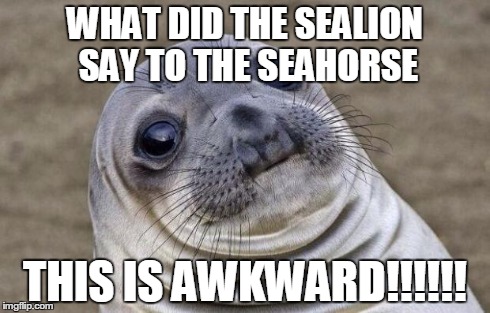 Awkward Moment Sealion | WHAT DID THE SEALION SAY TO THE SEAHORSE THIS IS AWKWARD!!!!!! | image tagged in memes,awkward moment sealion | made w/ Imgflip meme maker