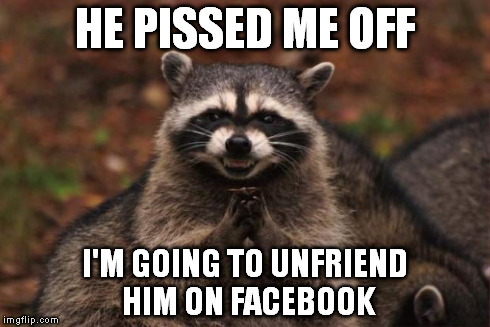 evil genius racoon | HE PISSED ME OFF I'M GOING TO UNFRIEND HIM ON FACEBOOK | image tagged in evil genius racoon | made w/ Imgflip meme maker