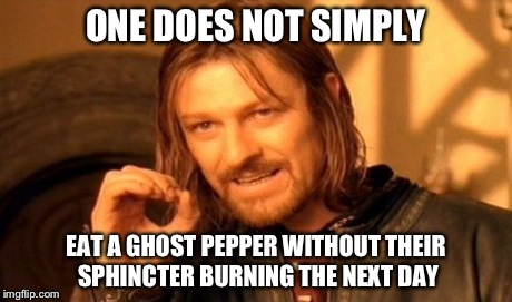 One Does Not Simply | ONE DOES NOT SIMPLY EAT A GHOST PEPPER WITHOUT THEIR SPHINCTER BURNING THE NEXT DAY | image tagged in memes,one does not simply | made w/ Imgflip meme maker