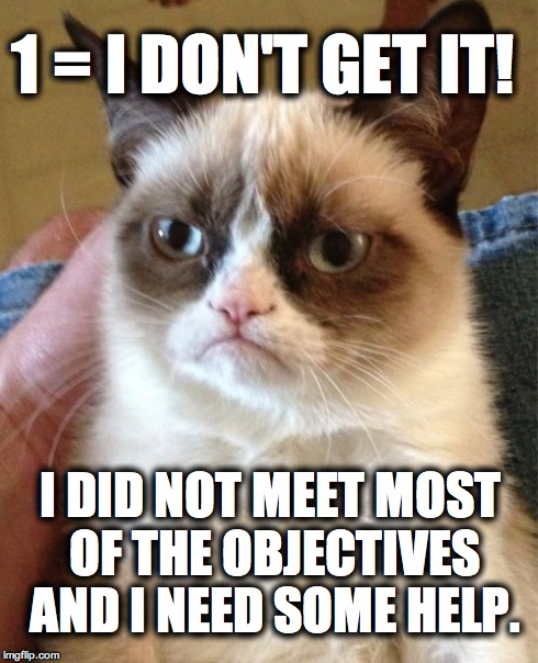 Marzano Scale - 1 | 1 = I DON'T GET IT! I DID NOT MEET MOST OF THE OBJECTIVES AND I NEED SOME HELP. | image tagged in memes,grumpy cat,teacher,school | made w/ Imgflip meme maker