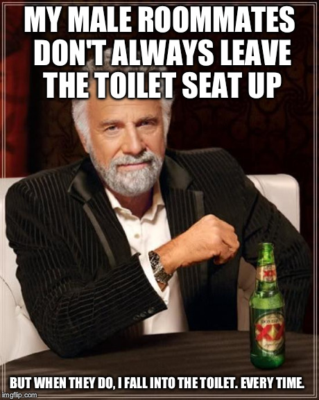 The Most Interesting Man In The World Meme | MY MALE ROOMMATES DON'T ALWAYS LEAVE THE TOILET SEAT UP BUT WHEN THEY DO, I FALL INTO THE TOILET. EVERY TIME. | image tagged in memes,the most interesting man in the world | made w/ Imgflip meme maker