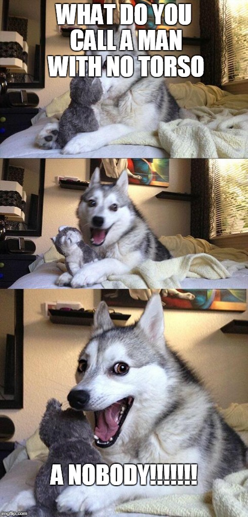 Bad Pun Dog | WHAT DO YOU CALL A MAN WITH NO TORSO A NOBODY!!!!!!! | image tagged in memes,bad pun dog | made w/ Imgflip meme maker