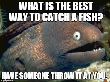 Bad Joke Eel | WHAT IS THE BEST WAY TO CATCH A FISH? HAVE SOMEONE THROW IT AT YOU. | image tagged in memes,bad joke eel | made w/ Imgflip meme maker