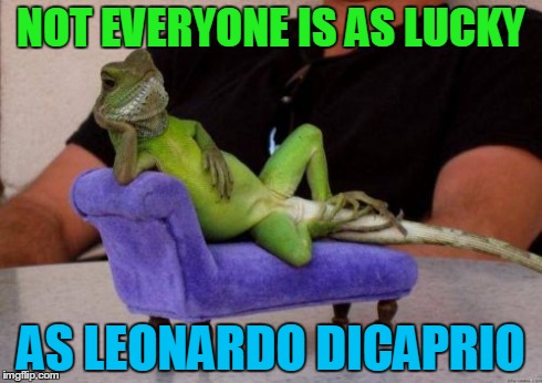 Sassy Iguana Meme | NOT EVERYONE IS AS LUCKY AS LEONARDO DICAPRIO | image tagged in memes,sassy iguana | made w/ Imgflip meme maker