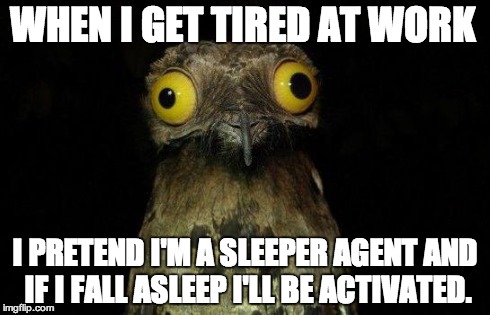 Crazy eyed bird | WHEN I GET TIRED AT WORK I PRETEND I'M A SLEEPER AGENT AND IF I FALL ASLEEP I'LL BE ACTIVATED. | image tagged in crazy eyed bird | made w/ Imgflip meme maker