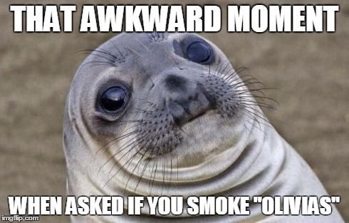 Awkward Moment Sealion Meme | THAT AWKWARD MOMENT WHEN ASKED IF YOU SMOKE "OLIVIAS" | image tagged in memes,awkward moment sealion | made w/ Imgflip meme maker