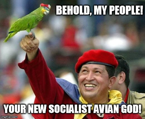 Bow Down Before Him | BEHOLD, MY PEOPLE! YOUR NEW SOCIALIST AVIAN GOD! | image tagged in chavez parrot | made w/ Imgflip meme maker