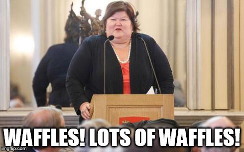 WAFFLES! LOTS OF WAFFLES! | made w/ Imgflip meme maker