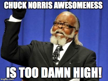 Too Damn High | CHUCK NORRIS AWESOMENESS IS TOO DAMN HIGH! | image tagged in memes,too damn high | made w/ Imgflip meme maker