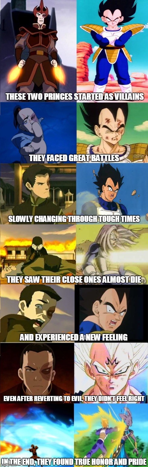 THESE TWO PRINCES STARTED AS VILLAINS THEY FACED GREAT BATTLES SLOWLY CHANGING THROUGH TOUGH TIMES THEY SAW THEIR CLOSE ONES ALMOST DIE AND  | image tagged in TheLastAirbender | made w/ Imgflip meme maker
