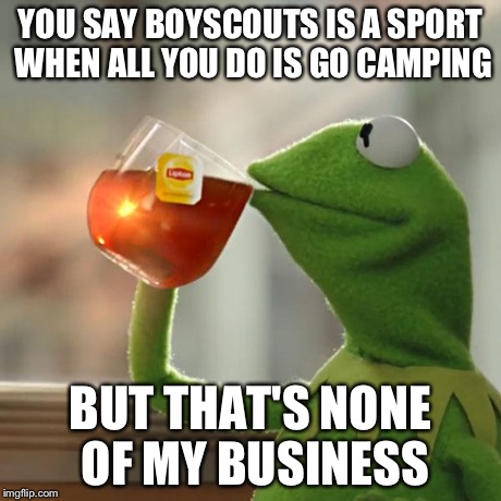 But That's None Of My Business Meme | YOU SAY BOYSCOUTS IS A SPORT WHEN ALL YOU DO IS GO CAMPING BUT THAT'S NONE OF MY BUSINESS | image tagged in memes,but thats none of my business,kermit the frog | made w/ Imgflip meme maker