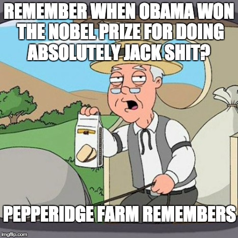 Pepperidge Farm Remembers Meme | REMEMBER WHEN OBAMA WON THE NOBEL PRIZE FOR DOING ABSOLUTELY JACK SHIT? PEPPERIDGE FARM REMEMBERS | image tagged in memes,pepperidge farm remembers | made w/ Imgflip meme maker