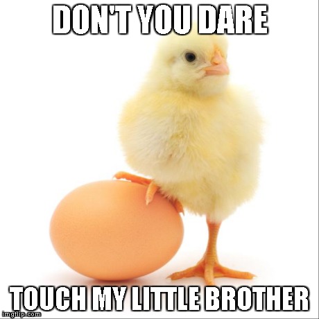 DON'T YOU DARE TOUCH MY LITTLE BROTHER | image tagged in chickenwithegg,animals,chicken,cute | made w/ Imgflip meme maker