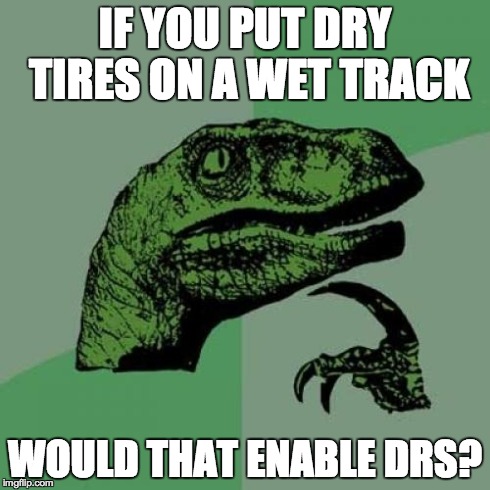 Philosoraptor | IF YOU PUT DRY TIRES ON A WET TRACK WOULD THAT ENABLE DRS? | image tagged in memes,philosoraptor | made w/ Imgflip meme maker