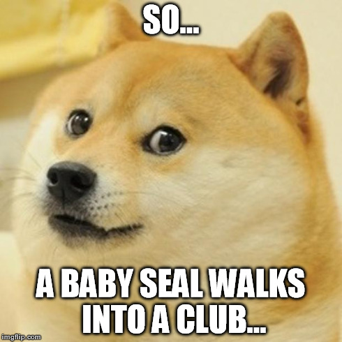 Doge | SO... A BABY SEAL WALKS INTO A CLUB... | image tagged in memes,doge | made w/ Imgflip meme maker