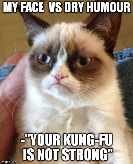 Grumpy Cat | MY FACE  VS DRY HUMOUR -"YOUR KUNG-FU IS NOT STRONG" | image tagged in memes,grumpy cat | made w/ Imgflip meme maker
