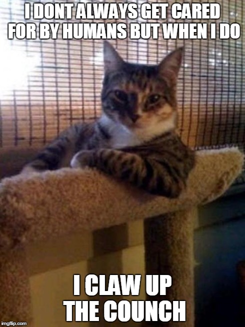 The Most Interesting Cat In The World Meme | I DONT ALWAYS GET CARED FOR BY HUMANS BUT WHEN I DO I CLAW UP THE COUNCH | image tagged in memes,the most interesting cat in the world | made w/ Imgflip meme maker