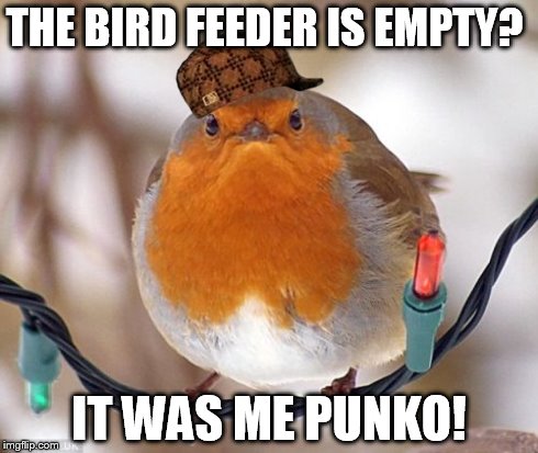 Bah Humbug | THE BIRD FEEDER IS EMPTY? IT WAS ME PUNKO! | image tagged in memes,bah humbug,scumbag | made w/ Imgflip meme maker