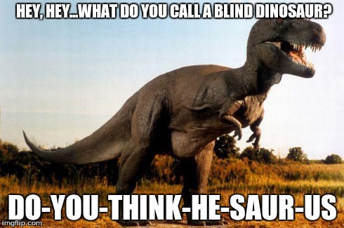 dinosaur | HEY, HEY...WHAT DO YOU CALL A BLIND DINOSAUR? DO-YOU-THINK-HE-SAUR-US | image tagged in dinosaur | made w/ Imgflip meme maker