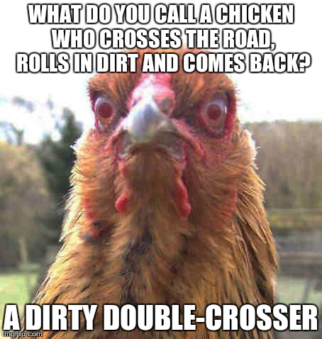 revenge chicken | WHAT DO YOU CALL A CHICKEN WHO CROSSES THE ROAD, ROLLS IN DIRT AND COMES BACK? A DIRTY DOUBLE-CROSSER | image tagged in revenge chicken | made w/ Imgflip meme maker