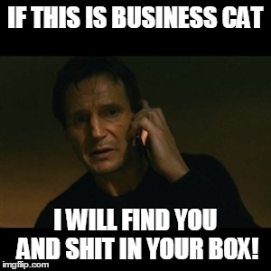 Liam Neeson Taken | IF THIS IS BUSINESS CAT I WILL FIND YOU AND SHIT IN YOUR BOX! | image tagged in memes,liam neeson taken | made w/ Imgflip meme maker