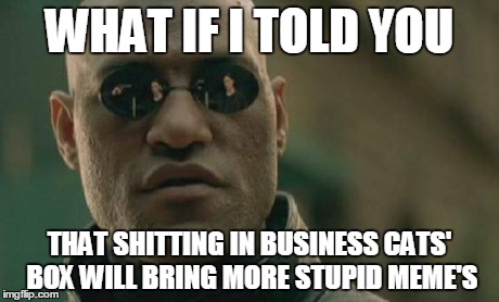 Matrix Morpheus | WHAT IF I TOLD YOU THAT SHITTING IN BUSINESS CATS' BOX WILL BRING MORE STUPID MEME'S | image tagged in memes,matrix morpheus | made w/ Imgflip meme maker