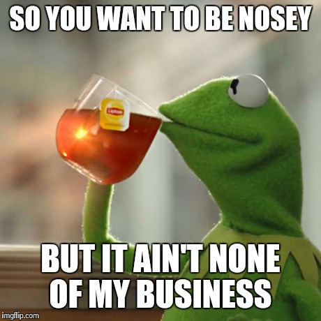 SO YOU WANT TO BE NOSEY BUT IT AIN'T NONE OF MY BUSINESS | image tagged in memes,but thats none of my business,kermit the frog | made w/ Imgflip meme maker