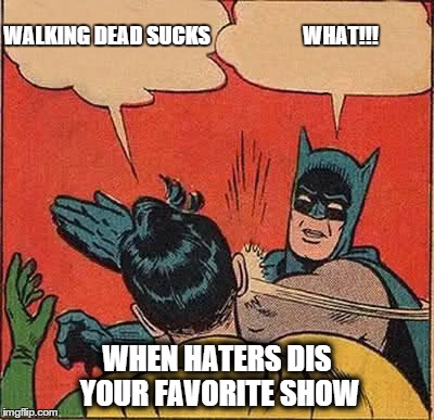 Batman Slapping Robin | WALKING DEAD SUCKS                      WHAT!!! WHEN HATERS DIS YOUR FAVORITE SHOW | image tagged in memes,batman slapping robin,the walking dead | made w/ Imgflip meme maker