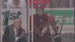 Coyotes forward David Moss gets glove stuck in penalty box (Video / GIF)